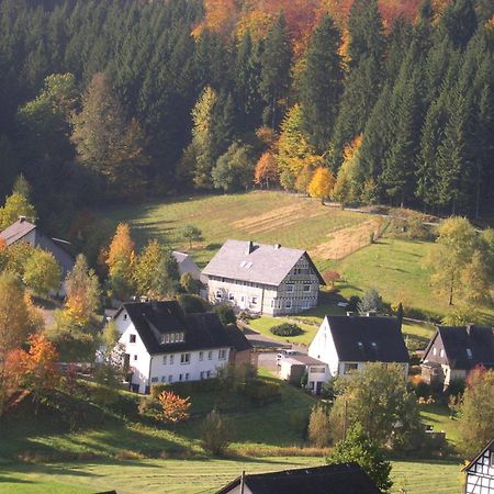 Апартаменты Haus Wald-Eck Шмалленберг Экстерьер фото
