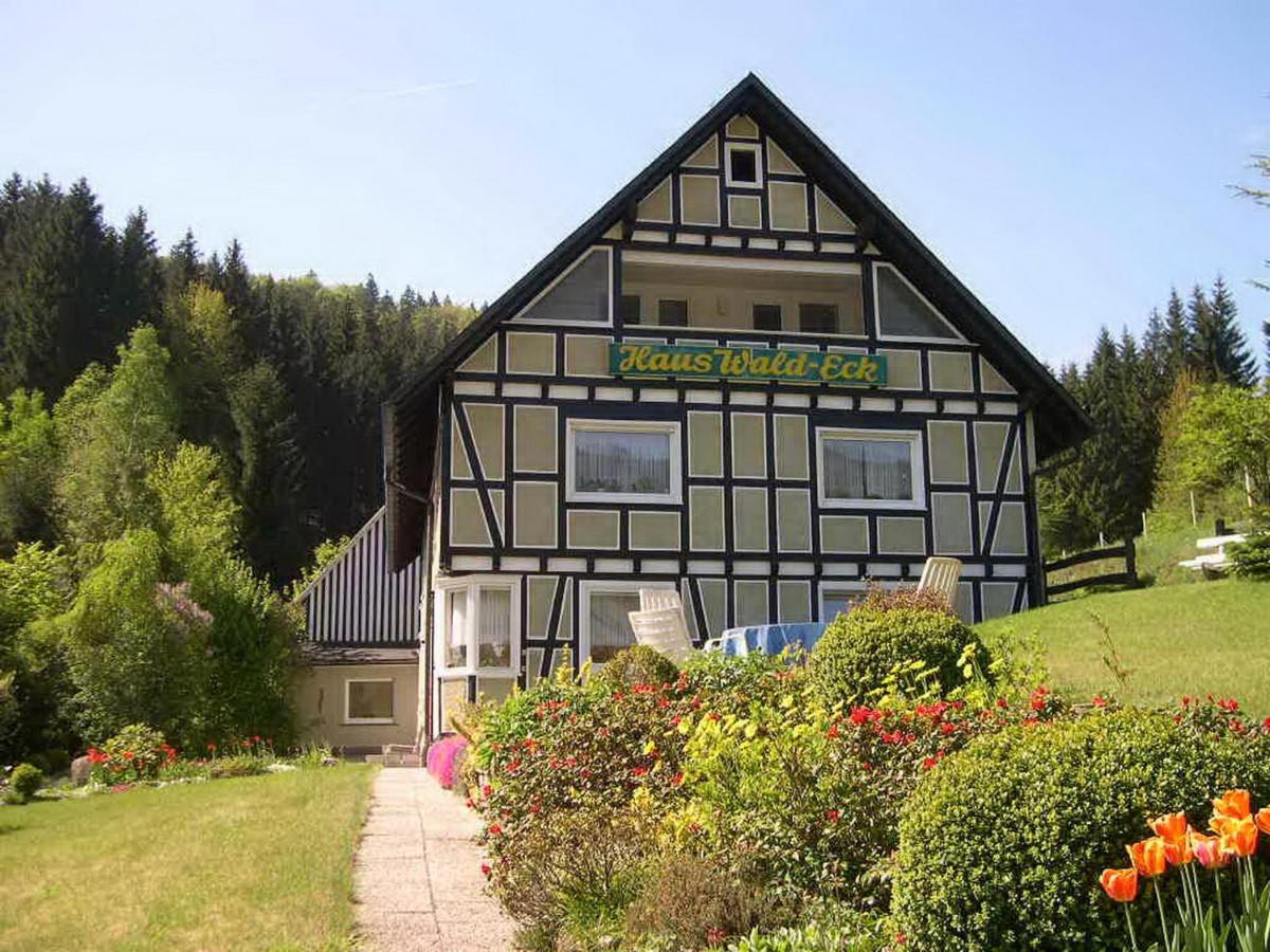 Апартаменты Haus Wald-Eck Шмалленберг Экстерьер фото