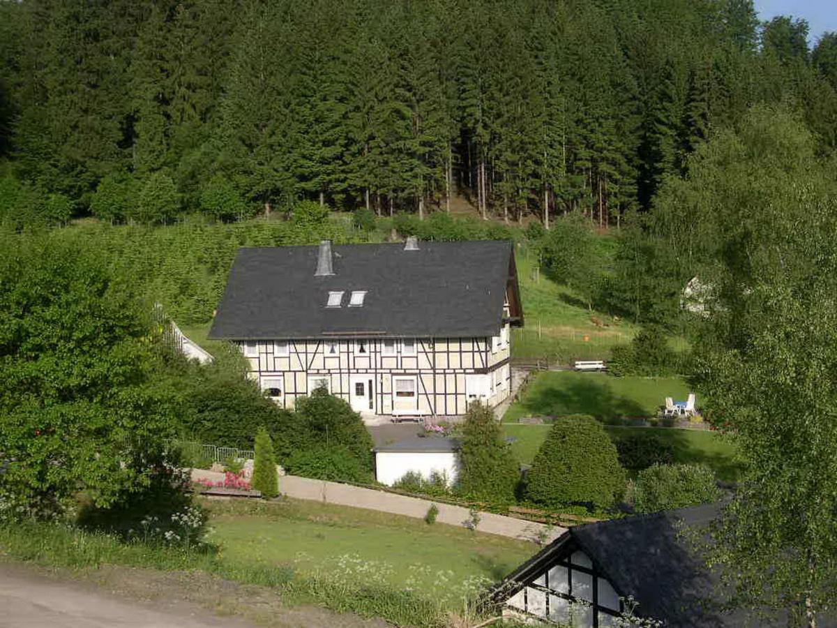 Апартаменты Haus Wald-Eck Шмалленберг Экстерьер фото